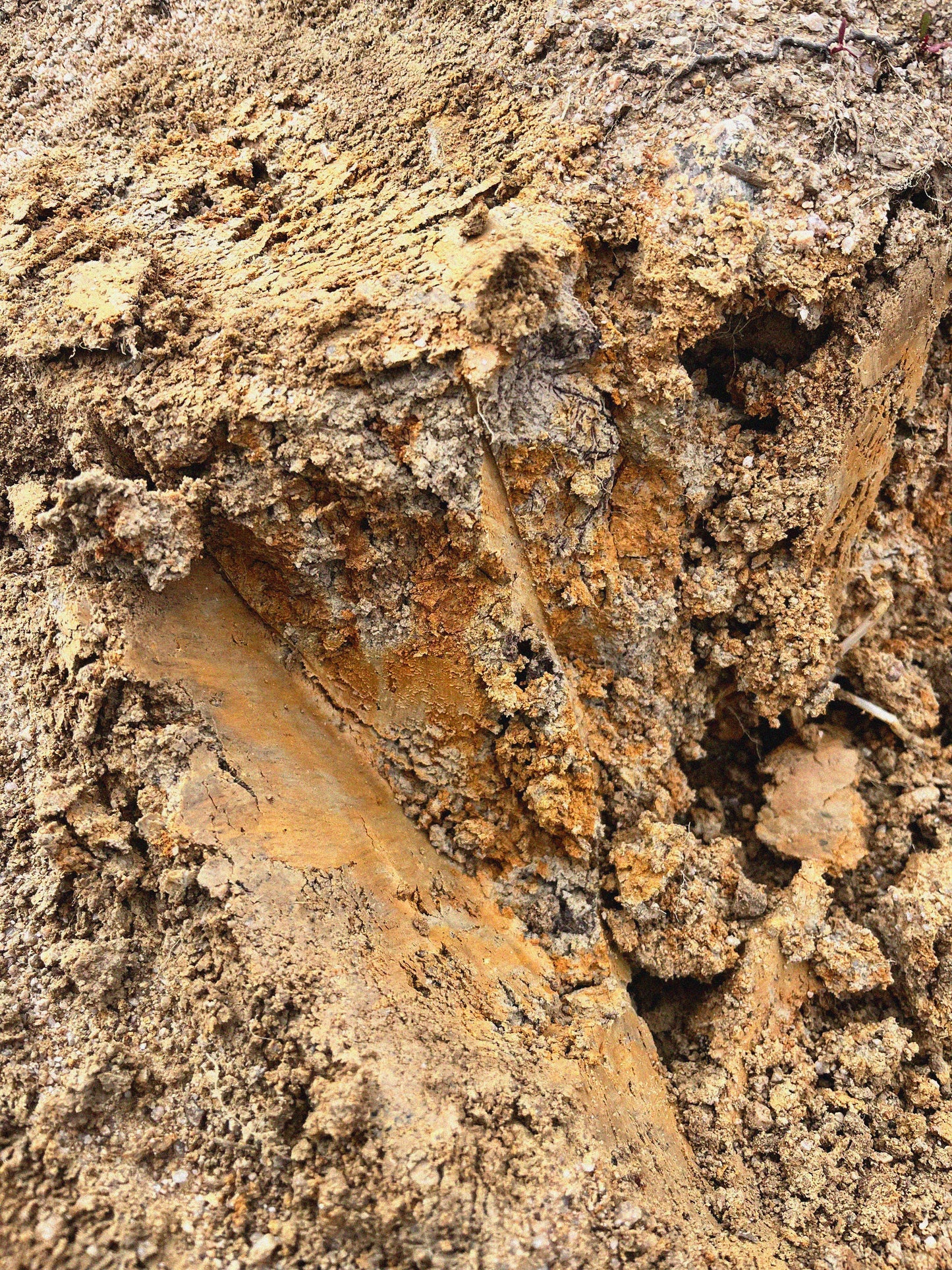 Atelier Nouaison wine stopper